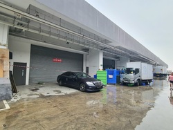 REVV (D22), Factory #637546361